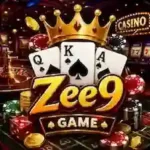 zee 9 game