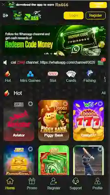 PAK PLAY game